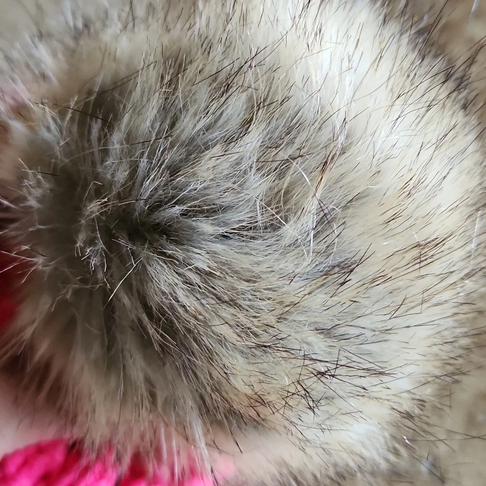 NWOT C.C. kids pink knit hat with pom pom top - Picture 5 of 6